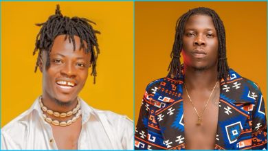 Stonebwoy and Fancy Gadam